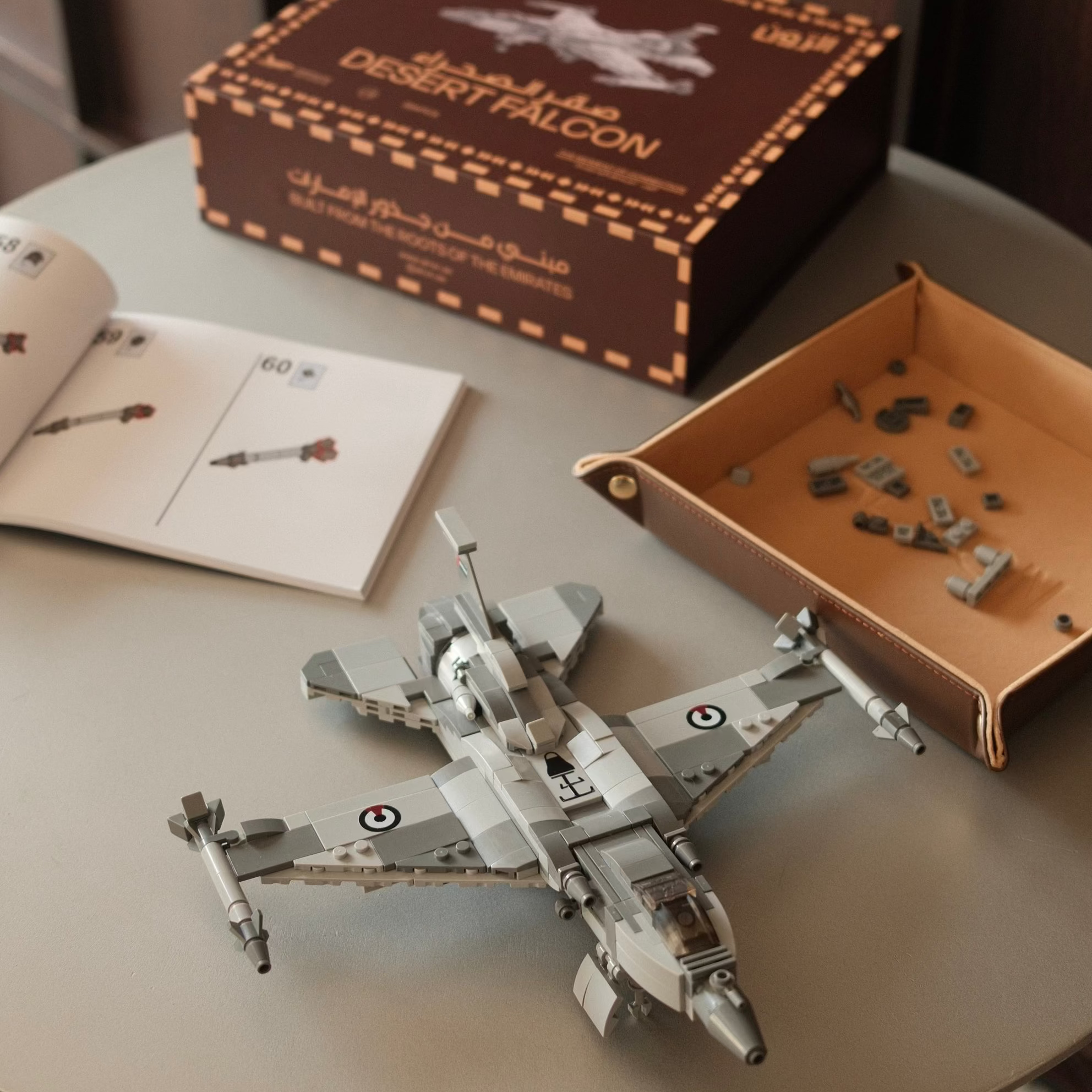 Desert Falcon صقر الصحراء